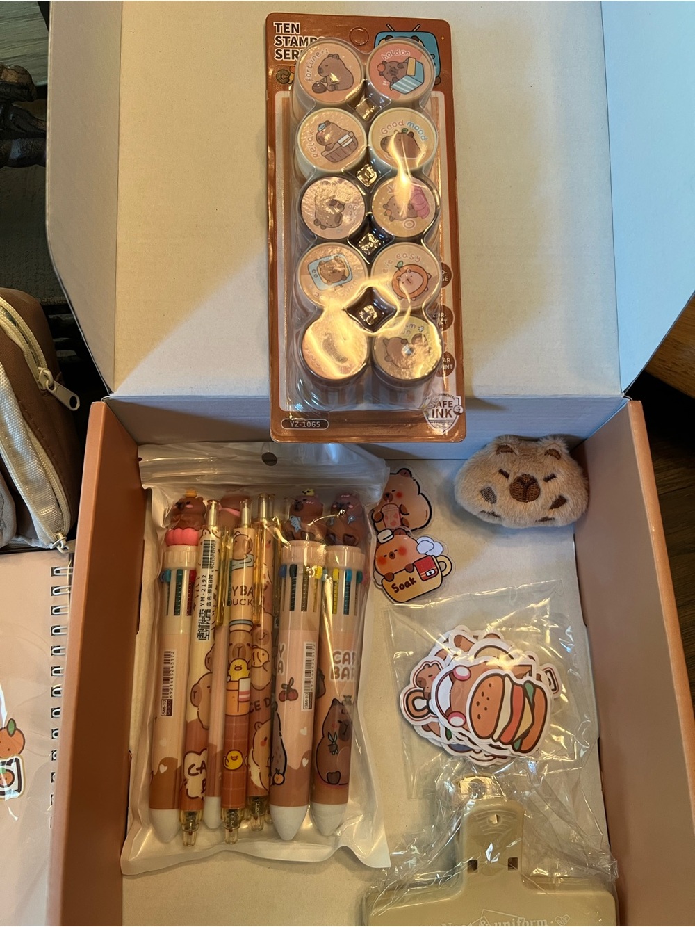 Capybara Kids Stationary  Box -   Notepads, pens, Stamps, stickers etc